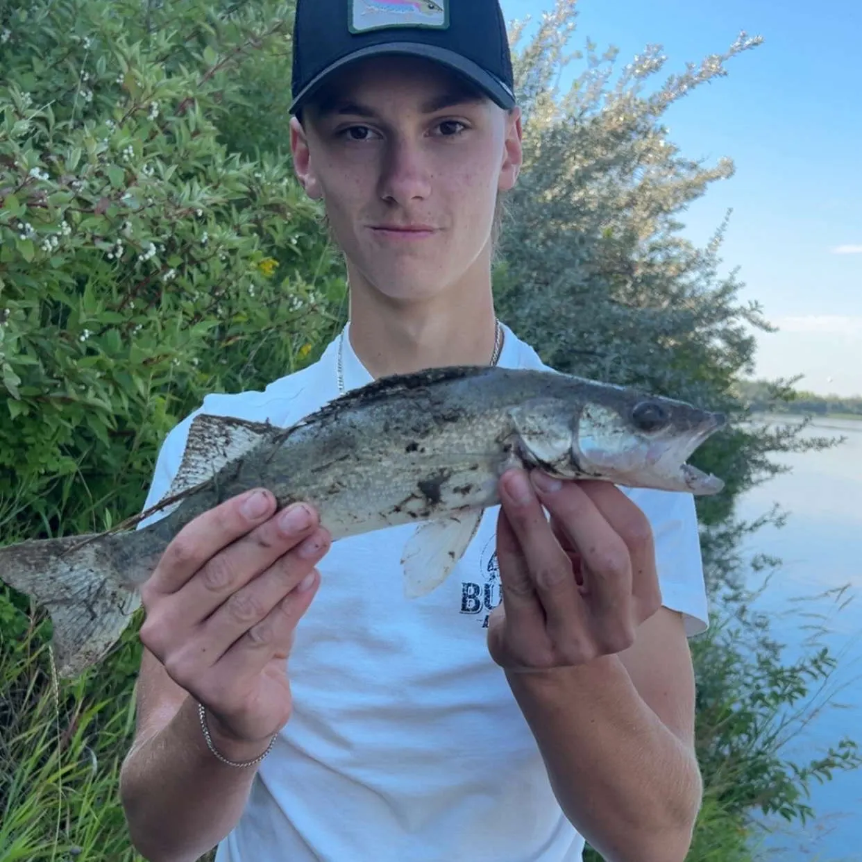 The most recent Walleye catches on Fishbrain