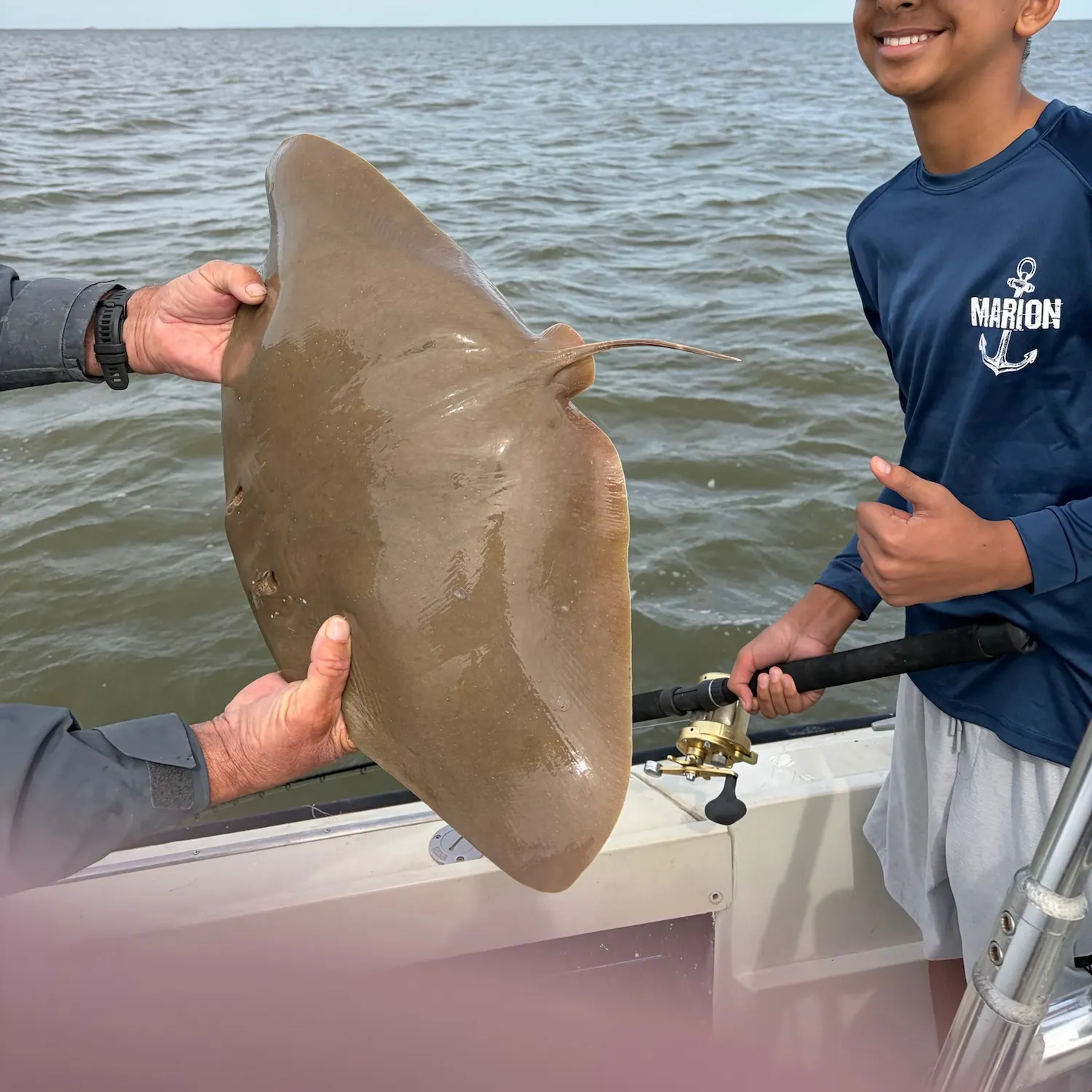 Atlantic stingray caught on Fishbrain