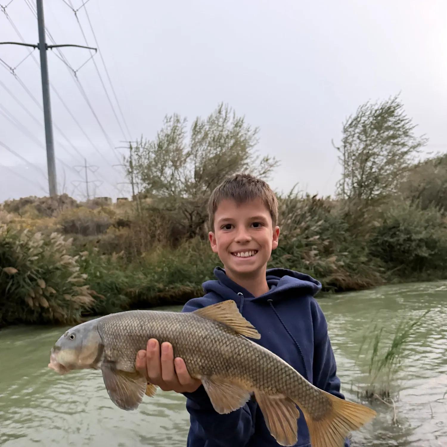 The most recent Utah sucker catches on Fishbrain