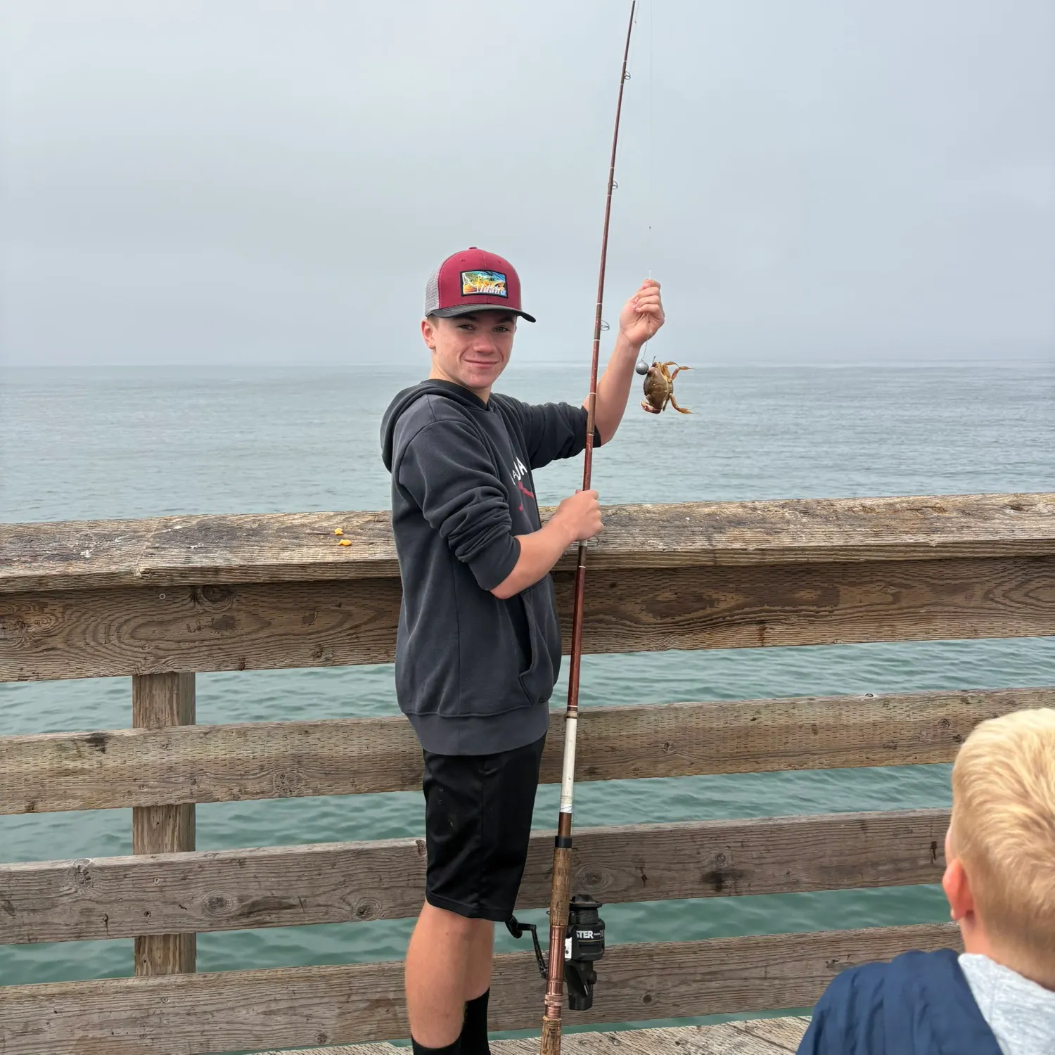 The most recent Yellow rock crab catches on Fishbrain