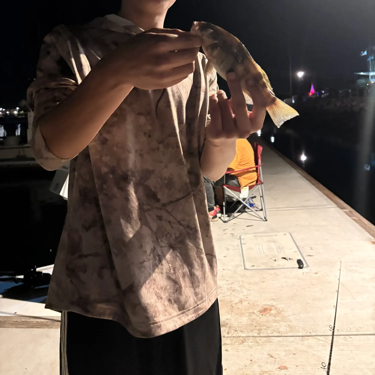 The most recent Barred sand bass catches on Fishbrain