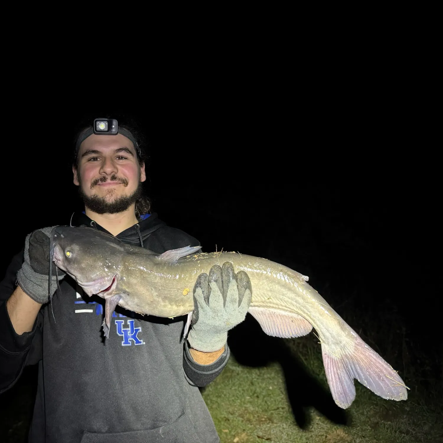 Channel catfish caught on Fishbrain