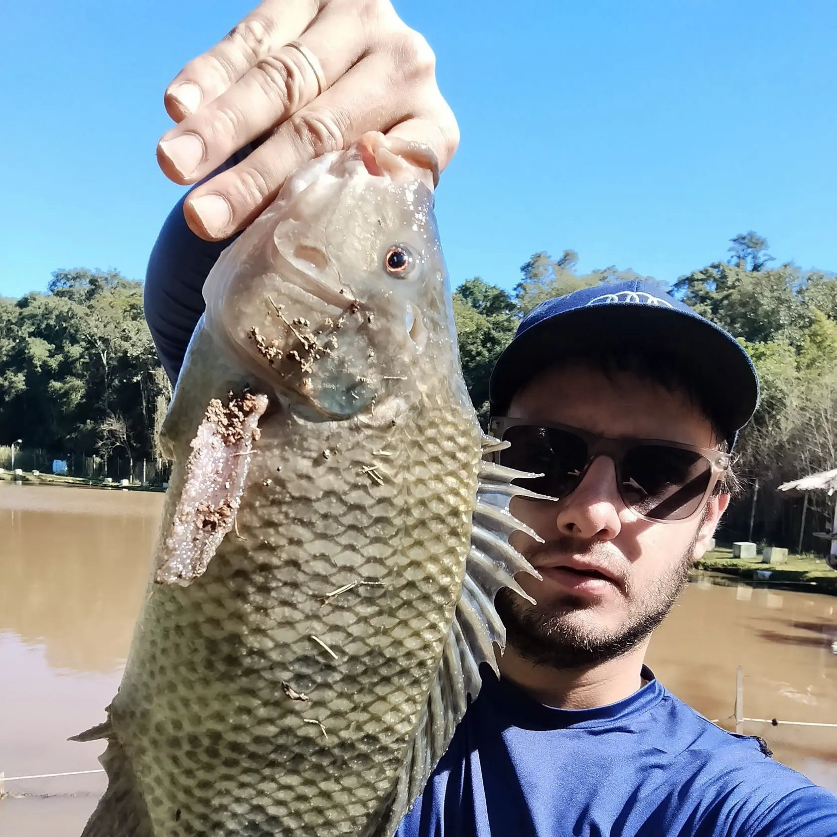 Redbreast tilapia caught on Fishbrain