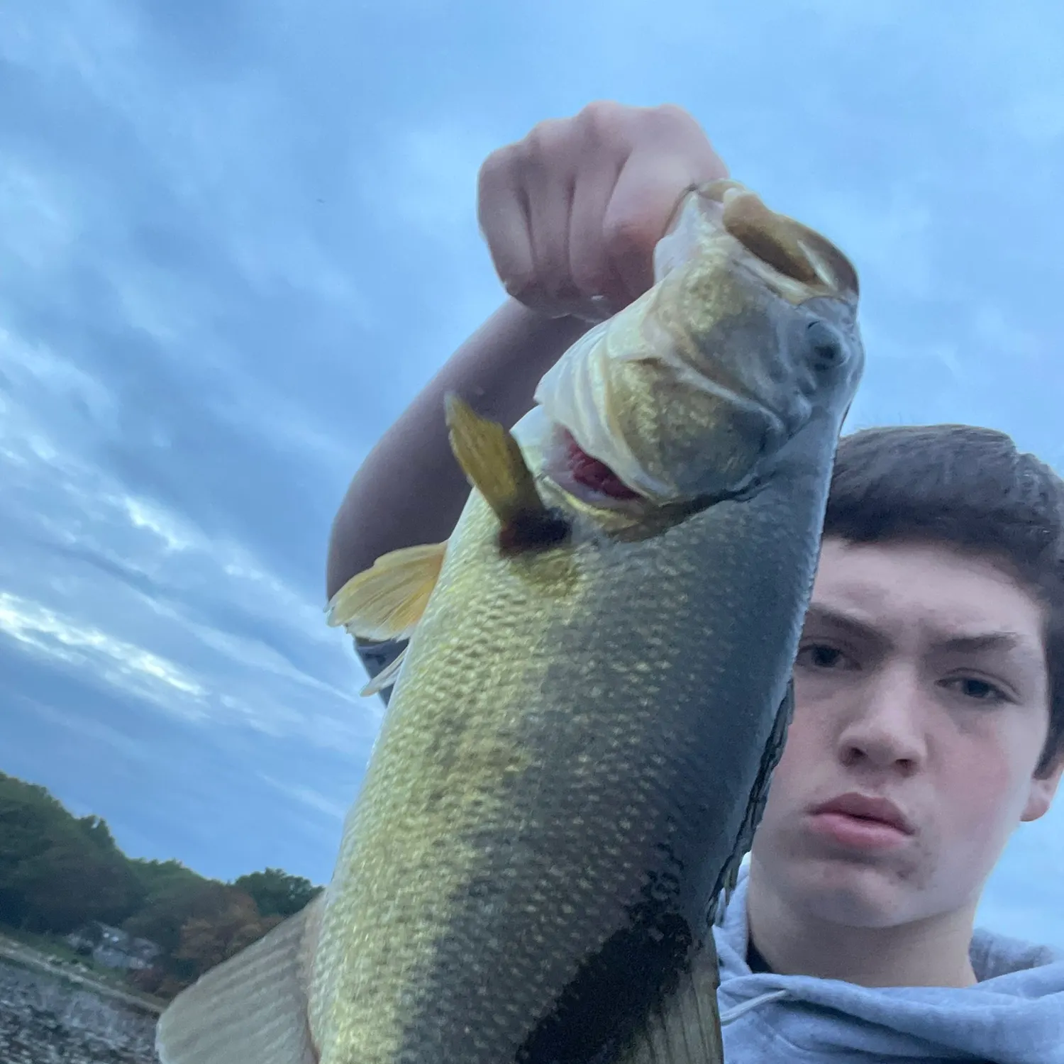 Largemouth bass caught on Fishbrain