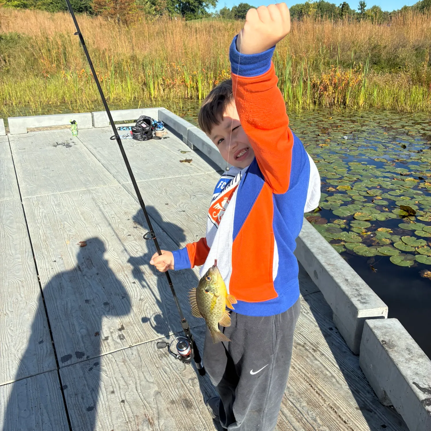 Redear sunfish caught on Fishbrain