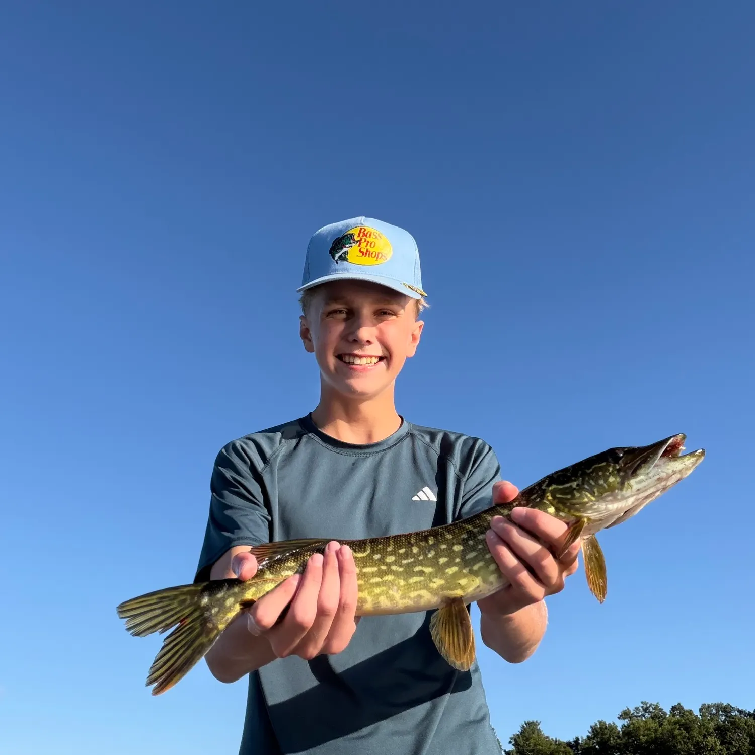 Northern pike caught on Fishbrain