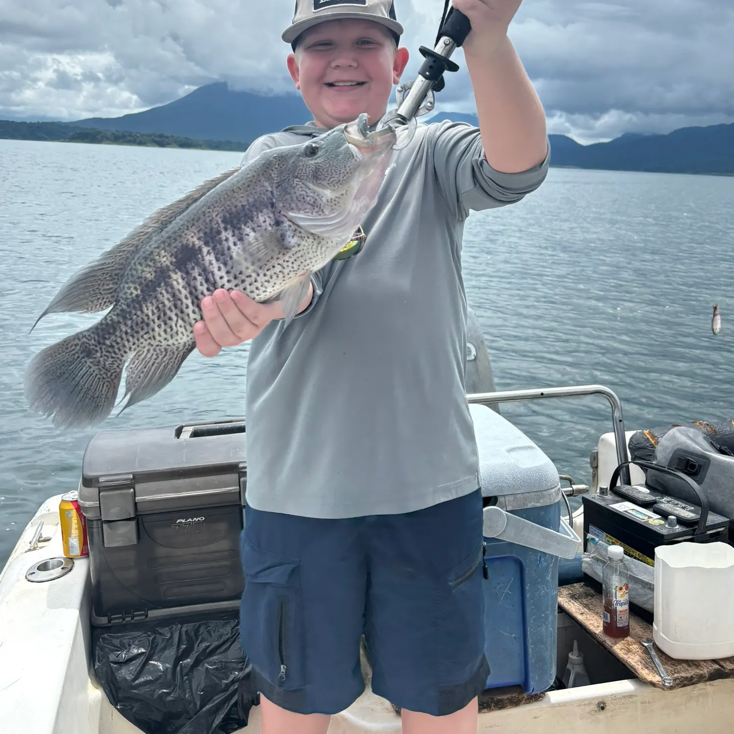 The most recent Wolf cichlid catches on Fishbrain