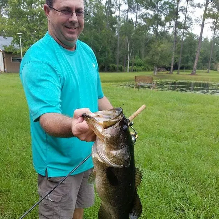 angler catch