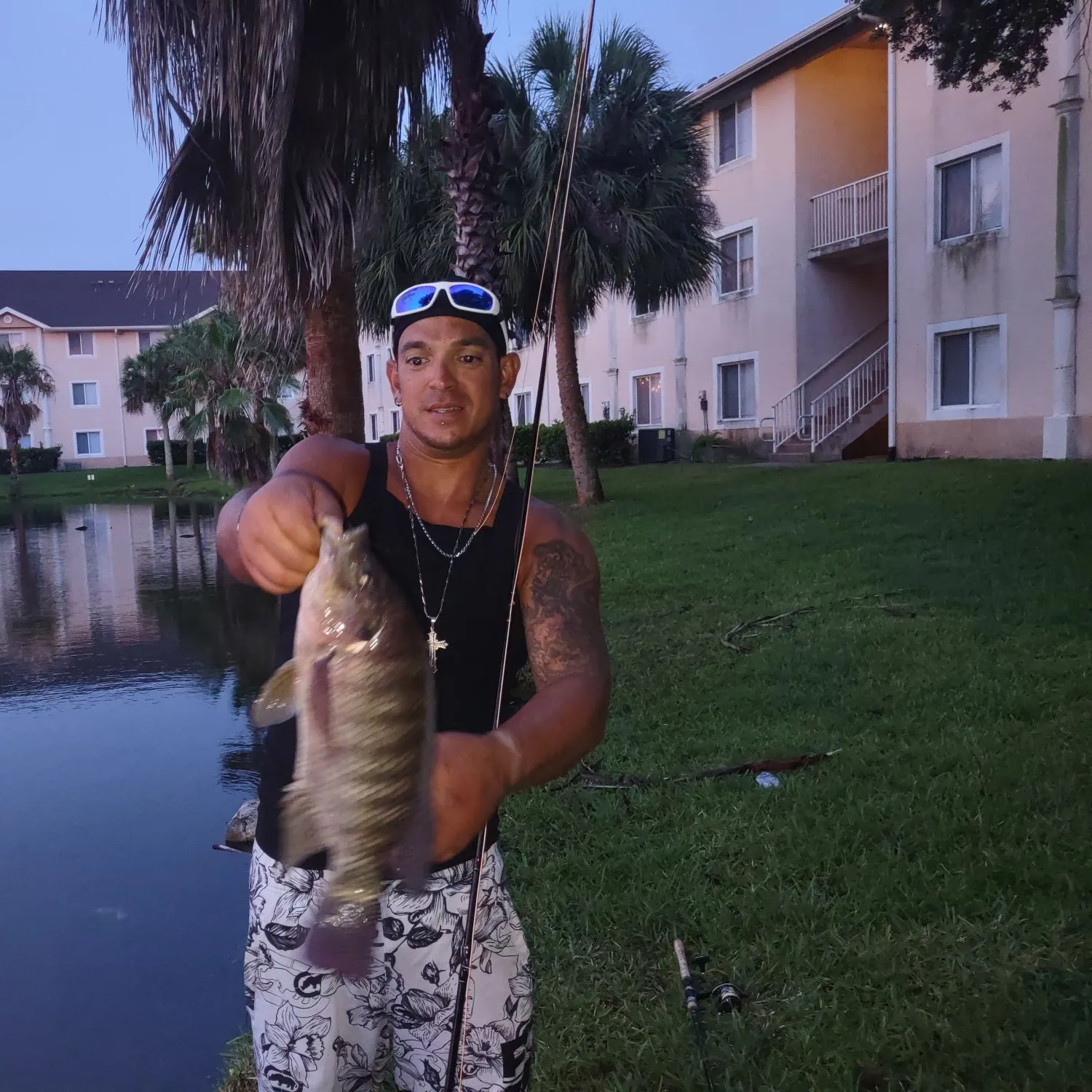 The most recent Redbreast tilapia catches on Fishbrain