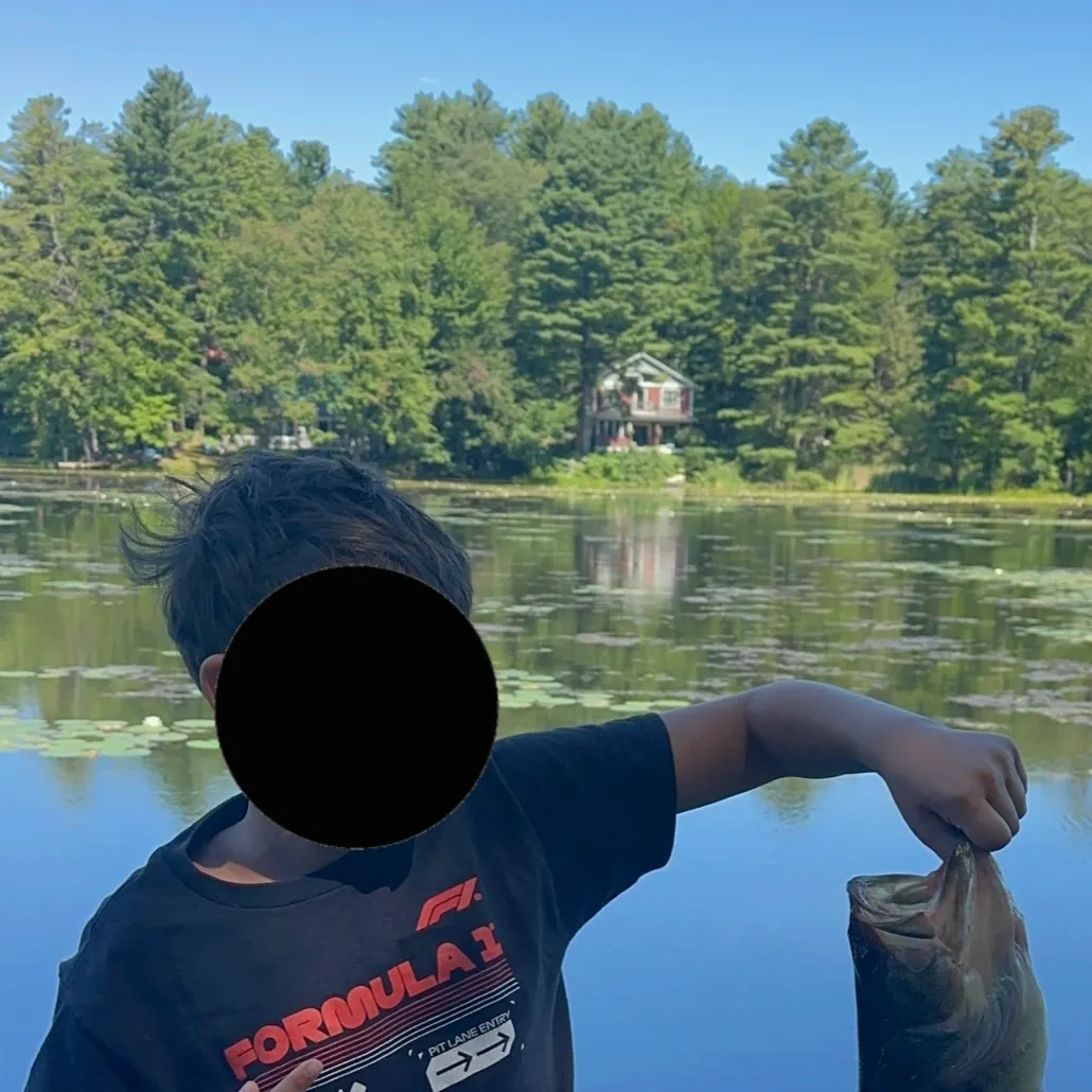 Smallmouth bass caught on Fishbrain