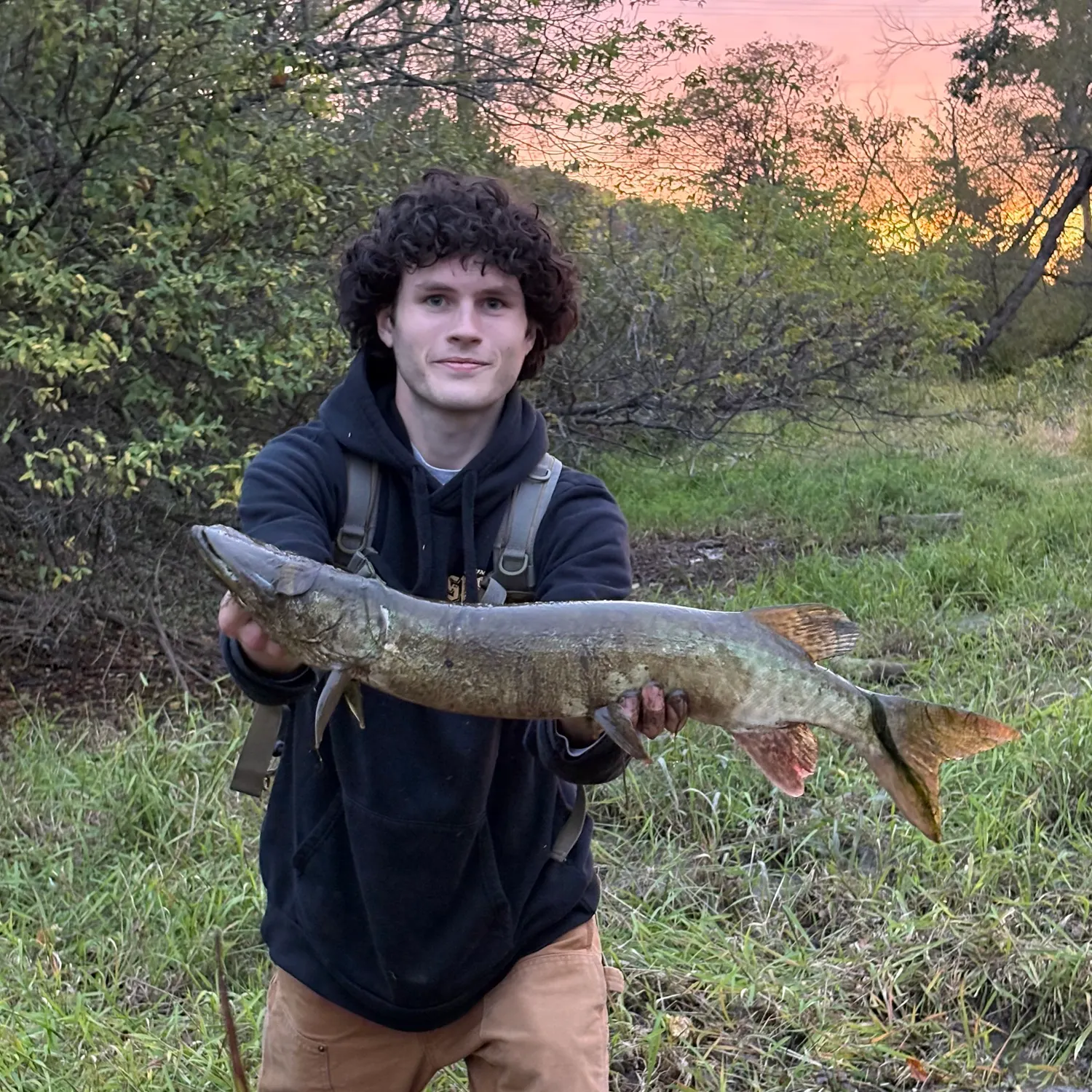 The most recent Muskie catches on Fishbrain