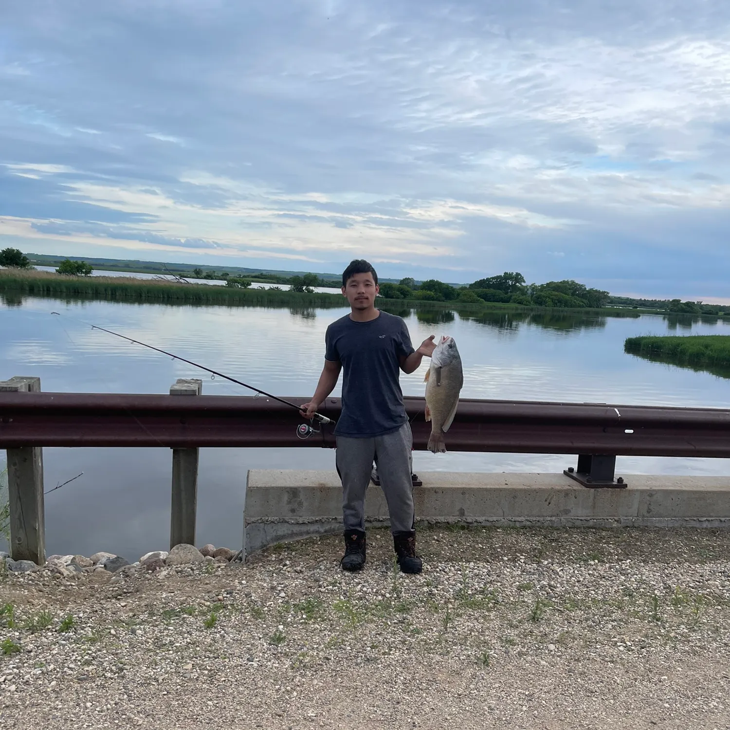 Freshwater drum caught on Fishbrain