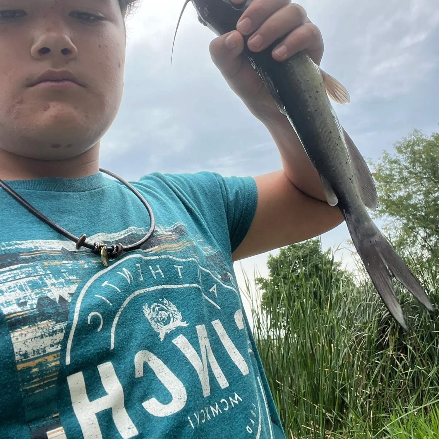 Channel catfish caught on Fishbrain