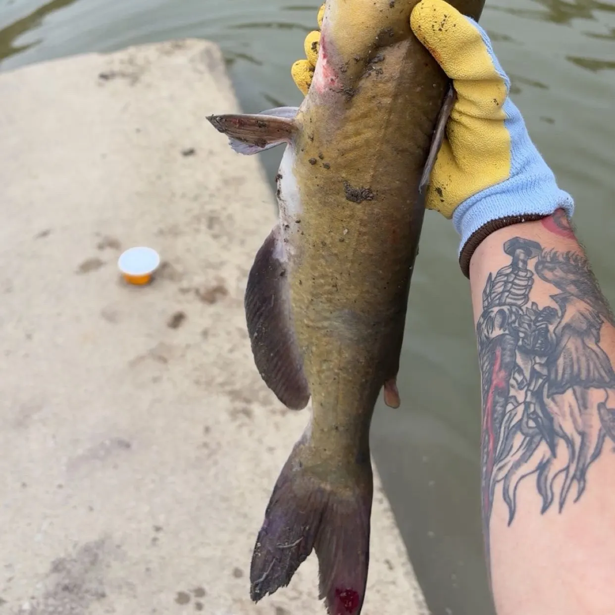 catch
