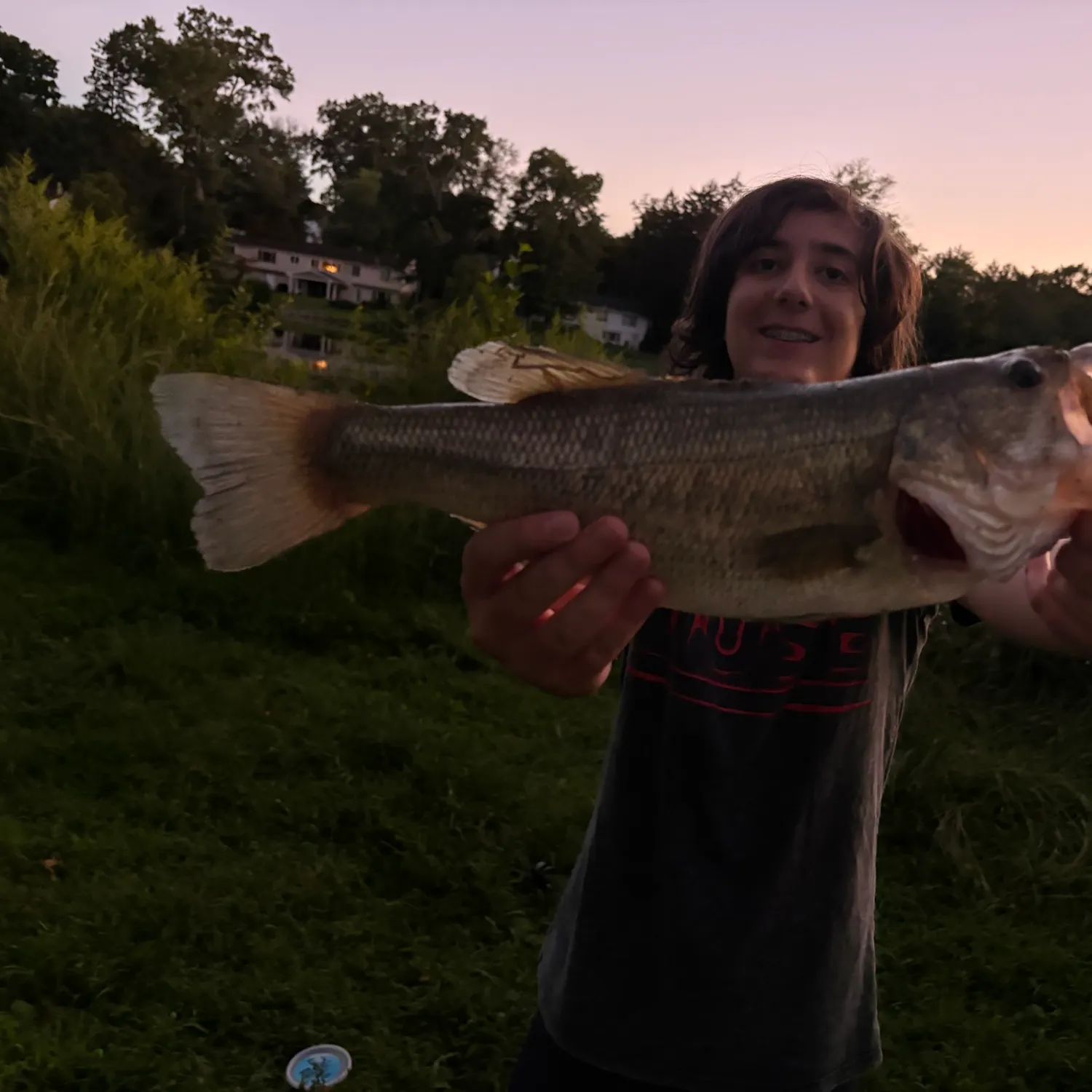 Largemouth bass caught on Fishbrain