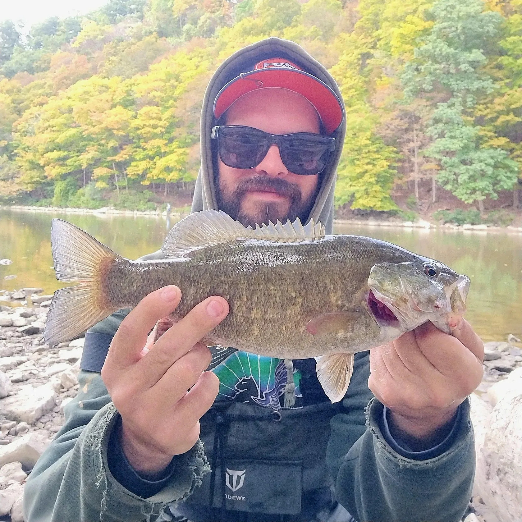 Smallmouth bass caught on Fishbrain
