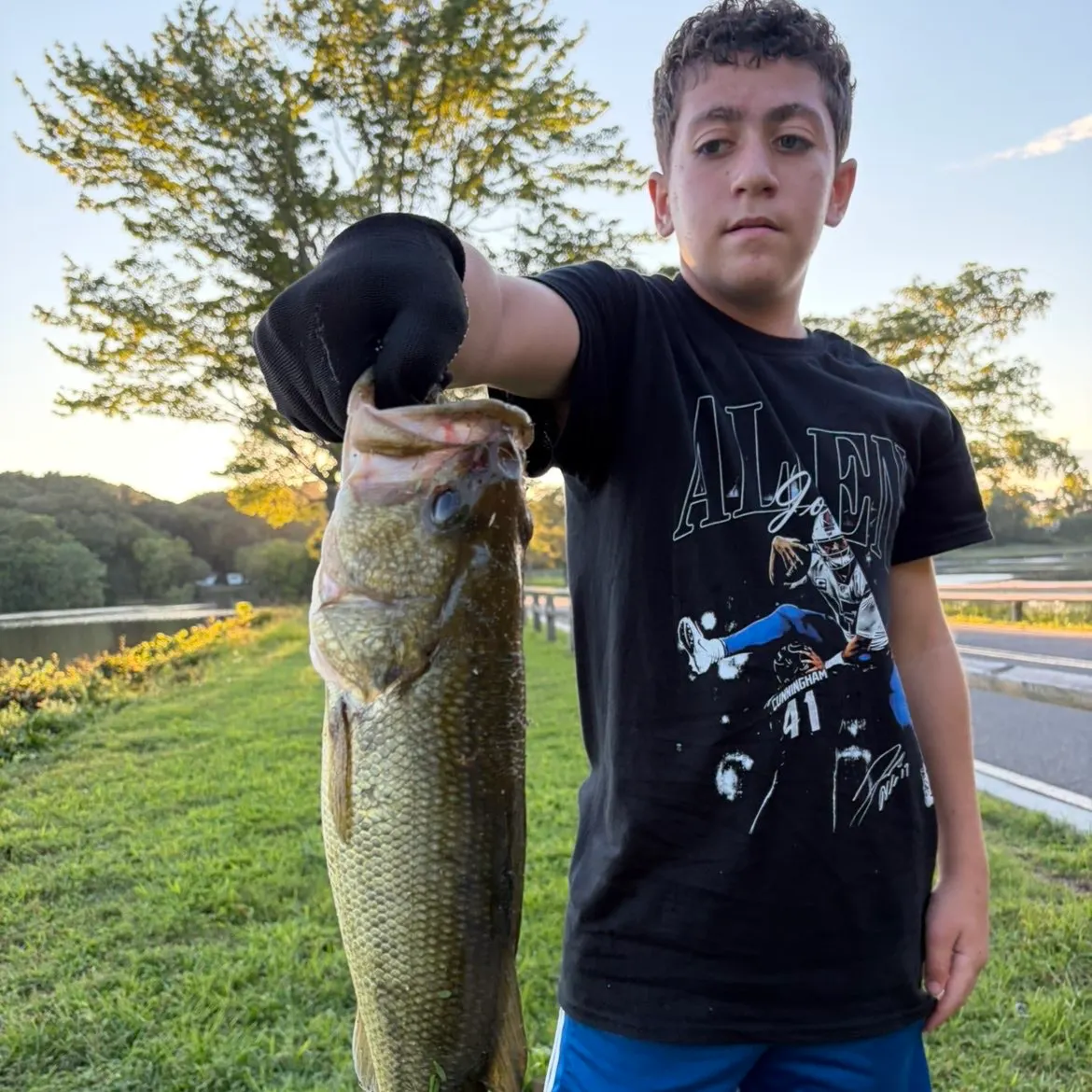 Largemouth bass caught on Fishbrain