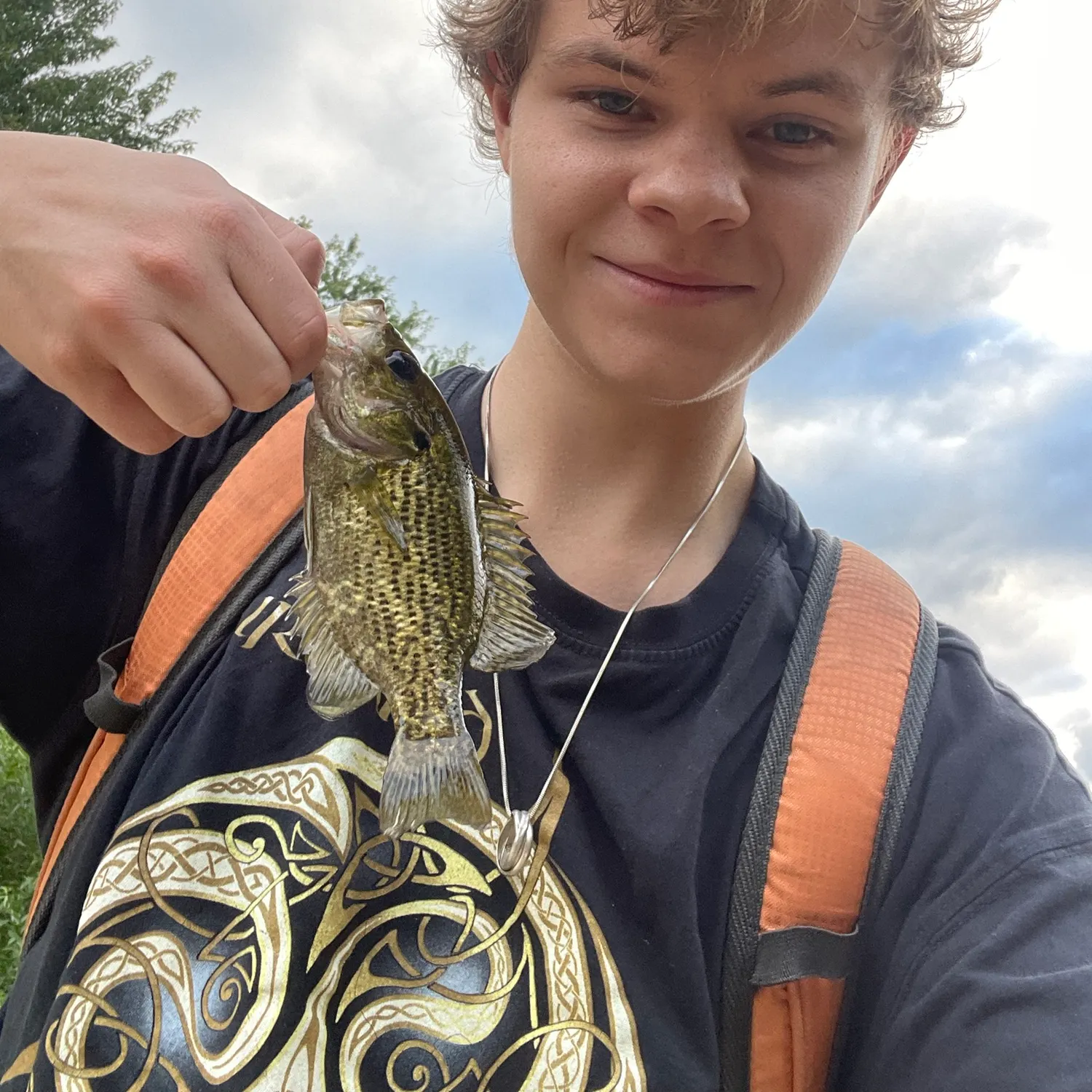 Rock bass caught on Fishbrain