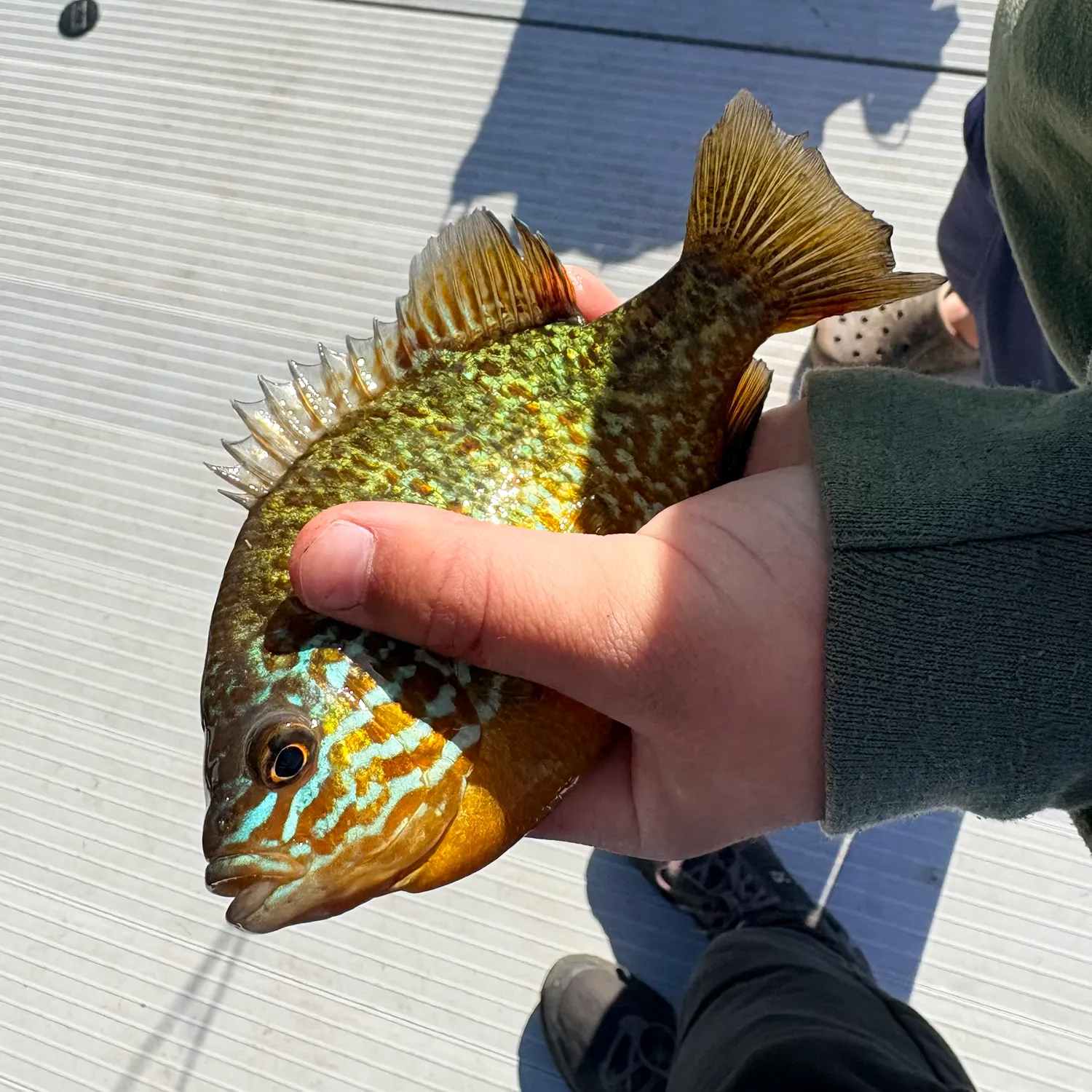catch