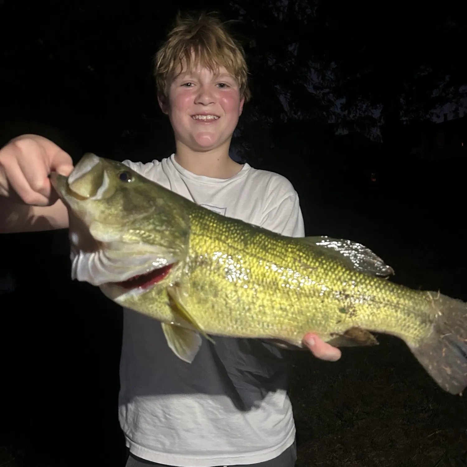 Fish caught on Fishbrain