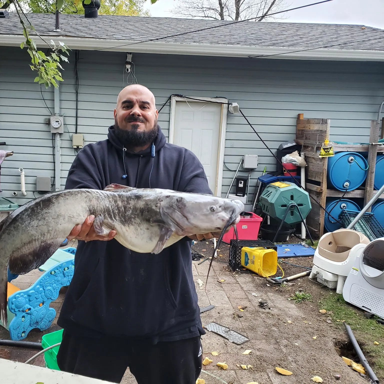 Blue catfish caught on Fishbrain