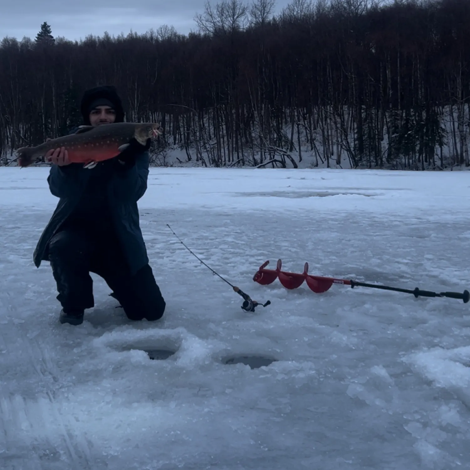 The most recent Arctic char catches on Fishbrain