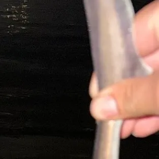 The most recent Nurse shark catches on Fishbrain