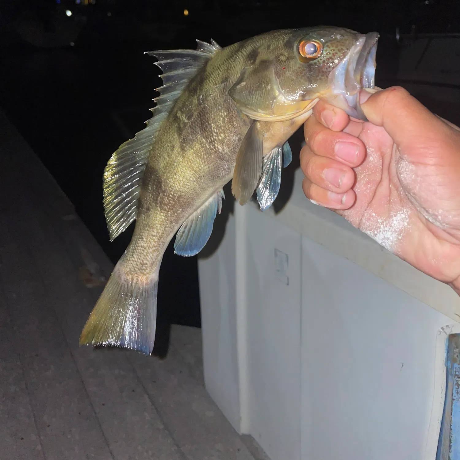 catch