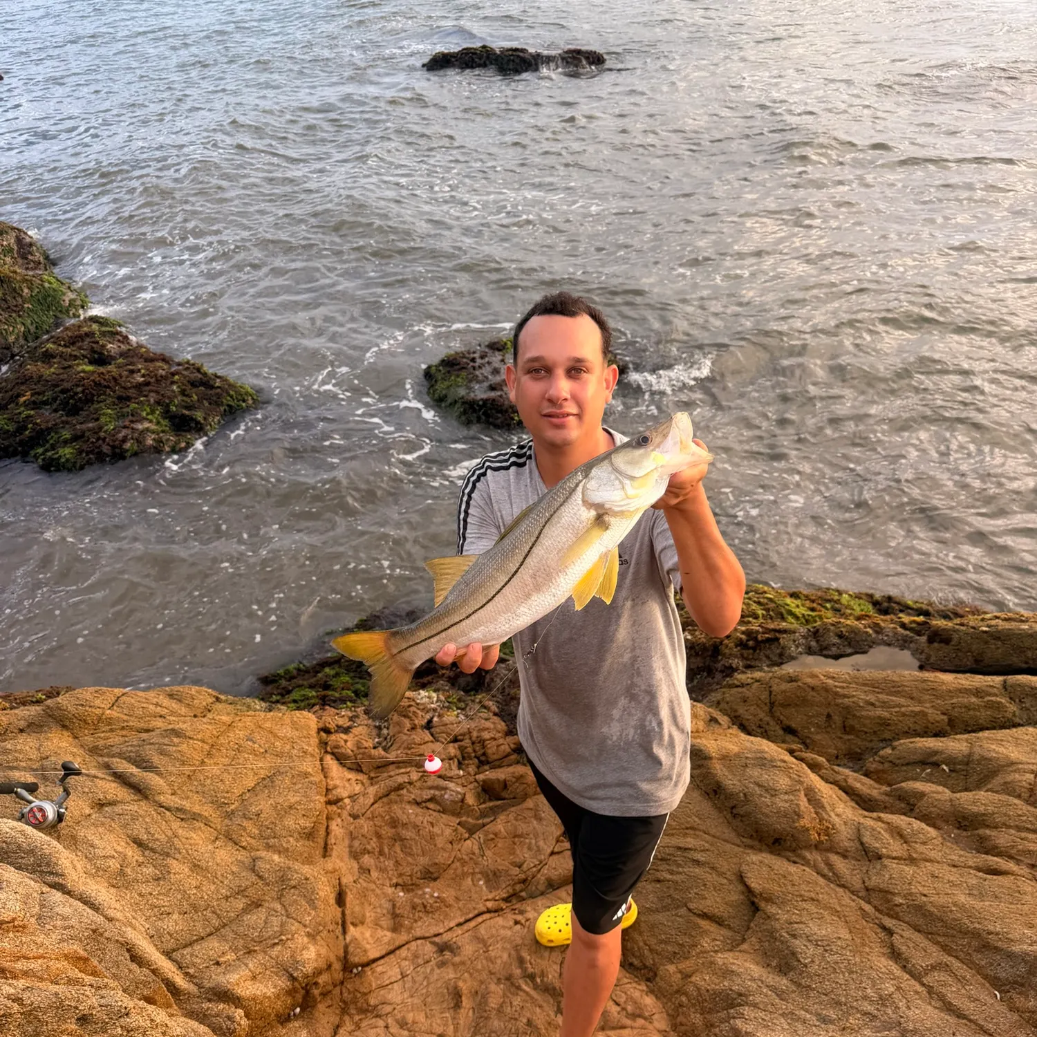 Fish caught on Fishbrain