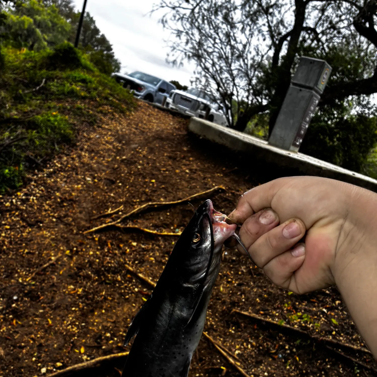 catch