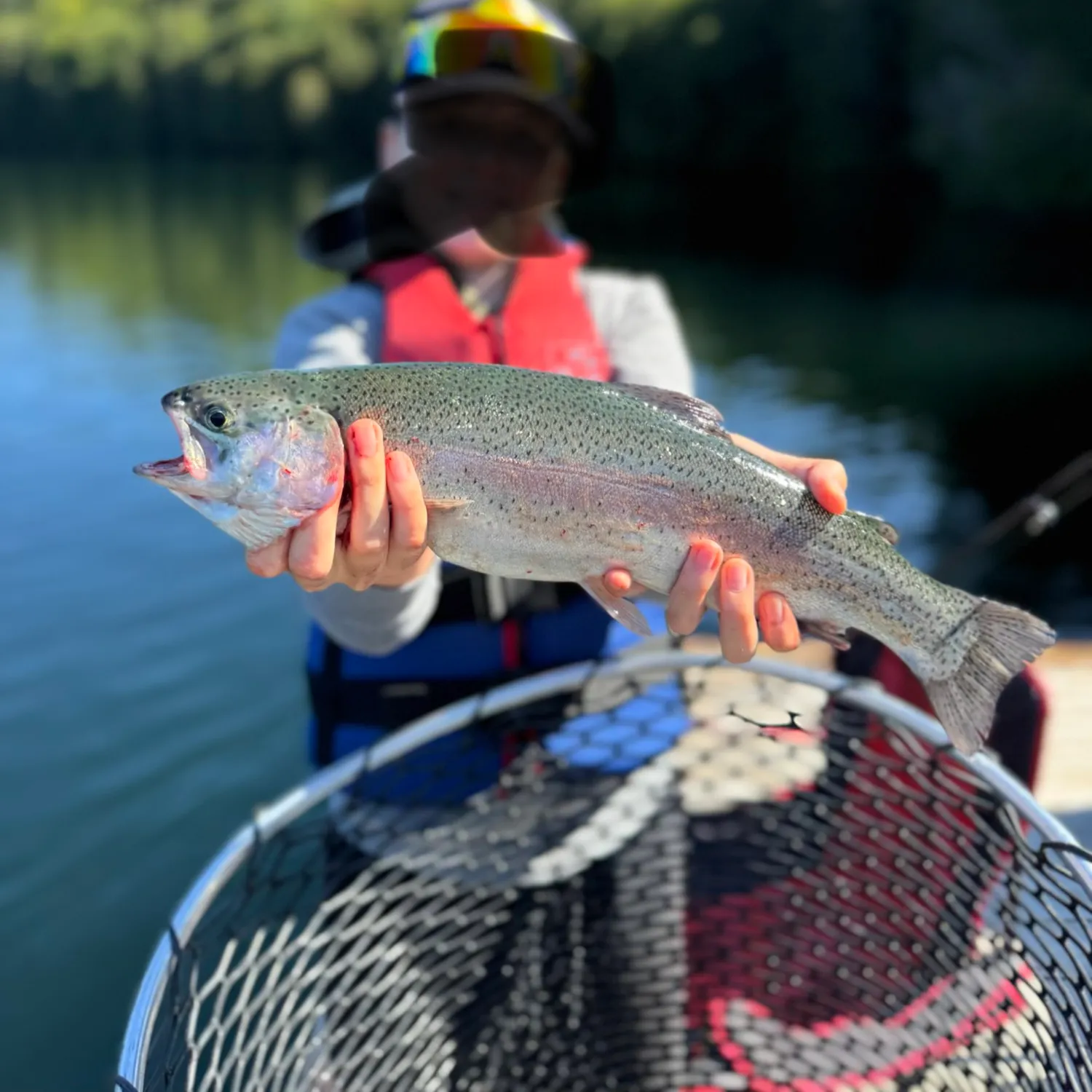 Rainbow trout caught on Fishbrain