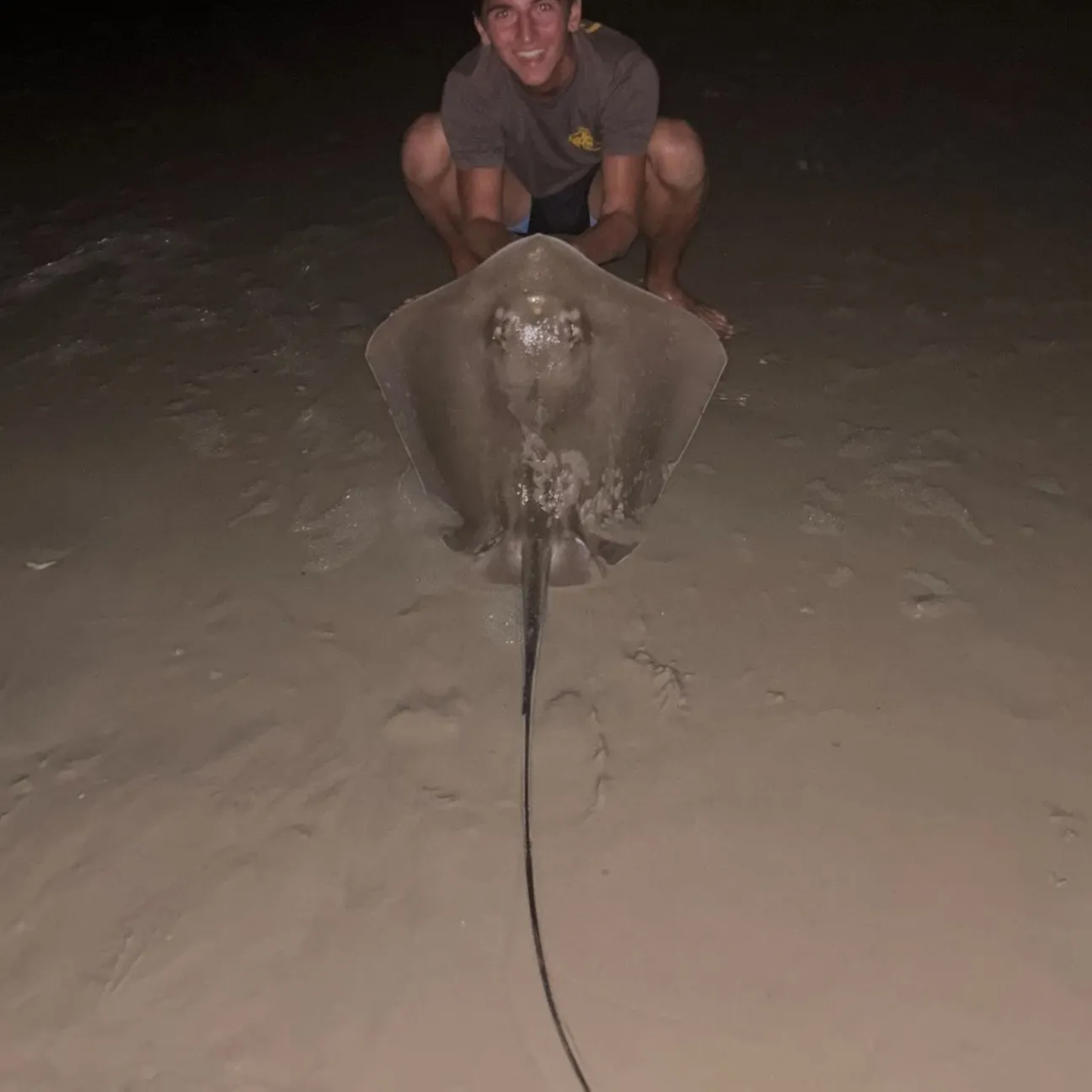 Southern stingray caught on Fishbrain