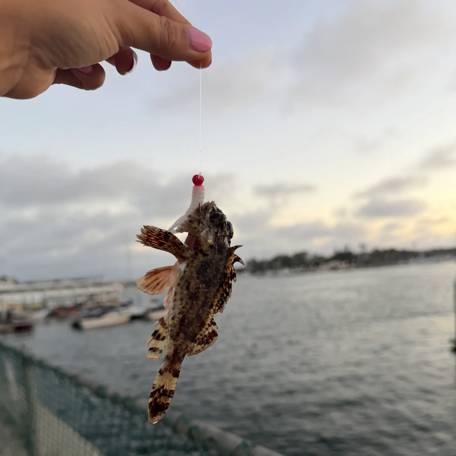 catch