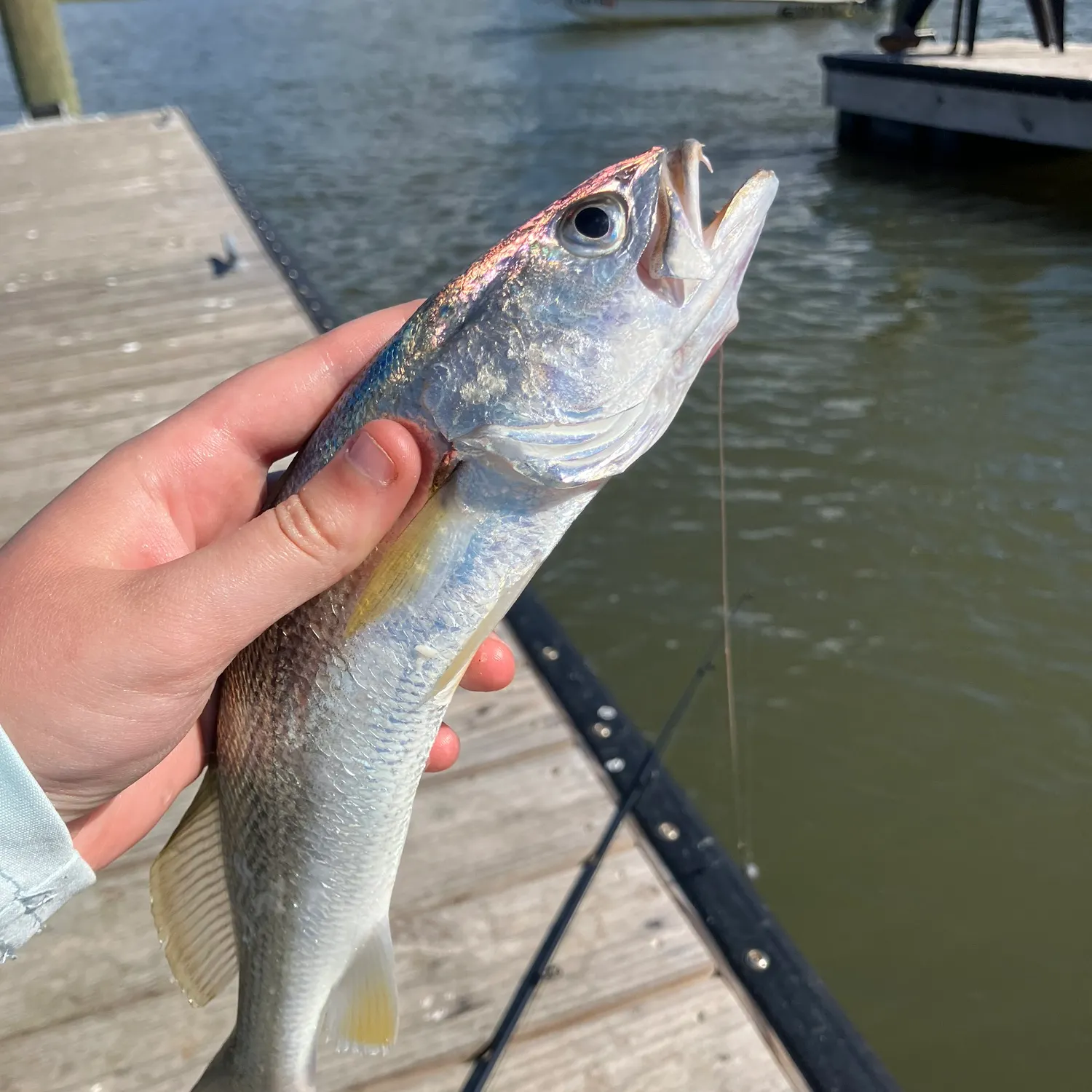 most liked catch image
