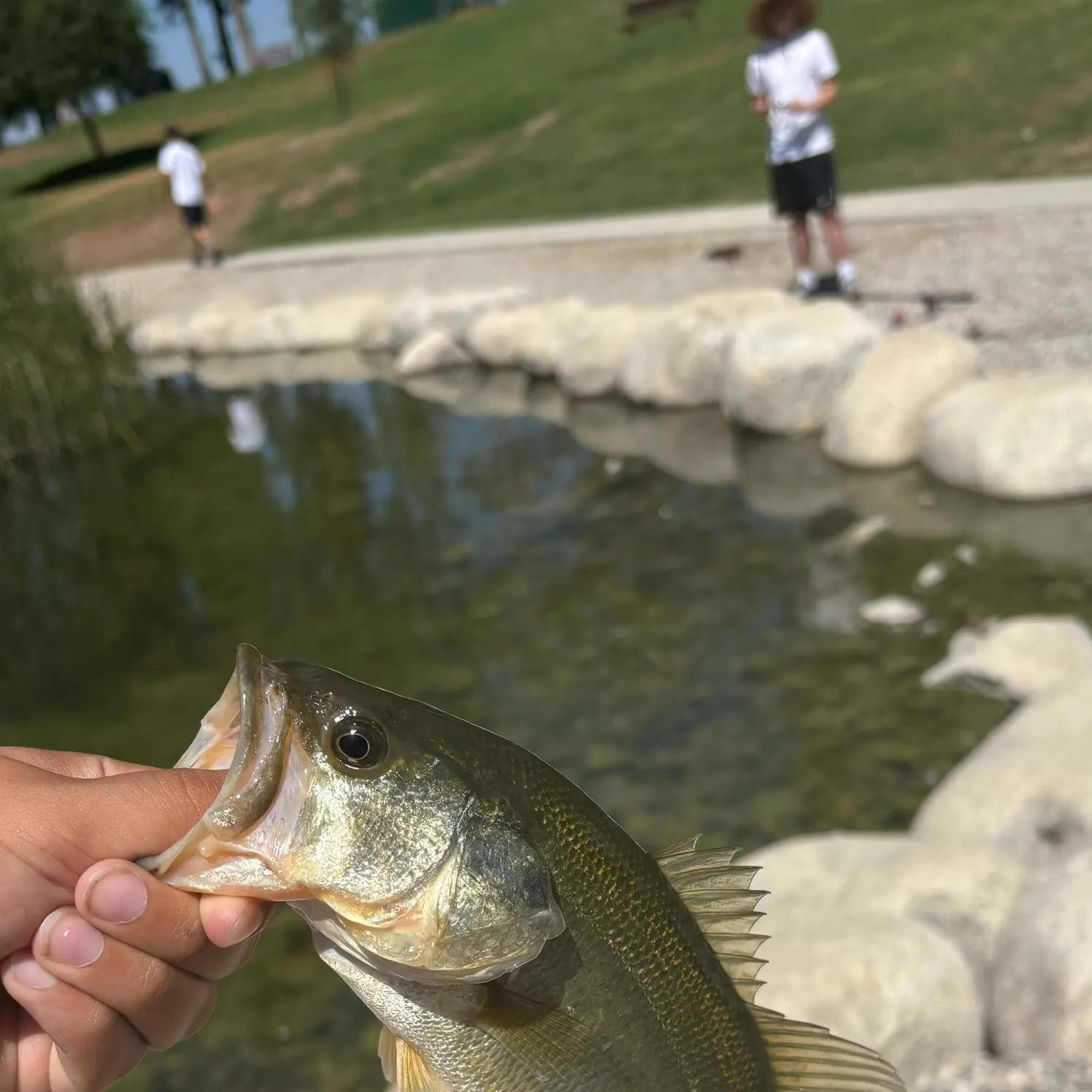 catch