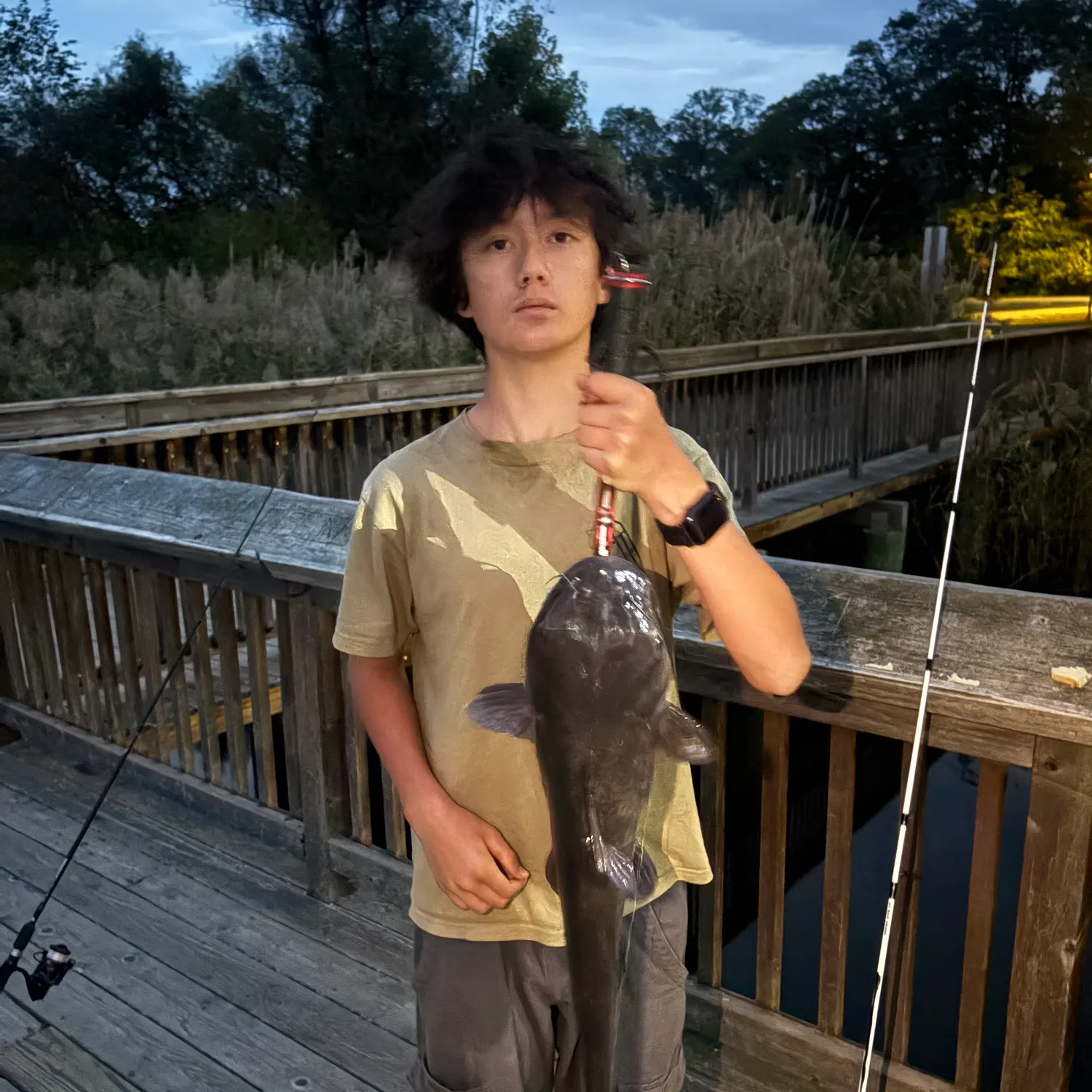 Channel catfish caught on Fishbrain