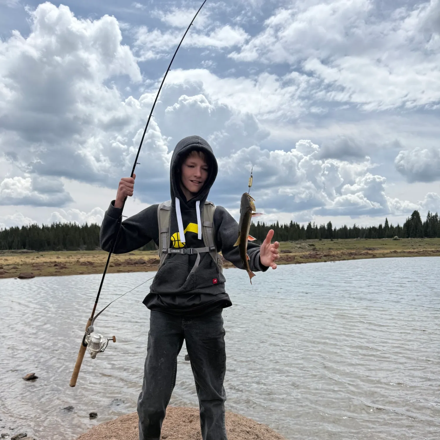 Brook trout caught on Fishbrain