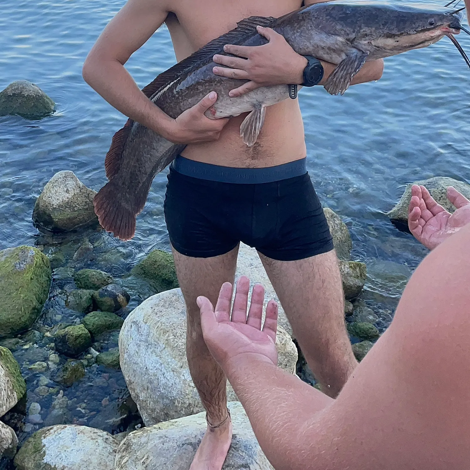 Fish caught on Fishbrain