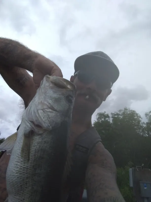 Post image from darrellcraycraft1