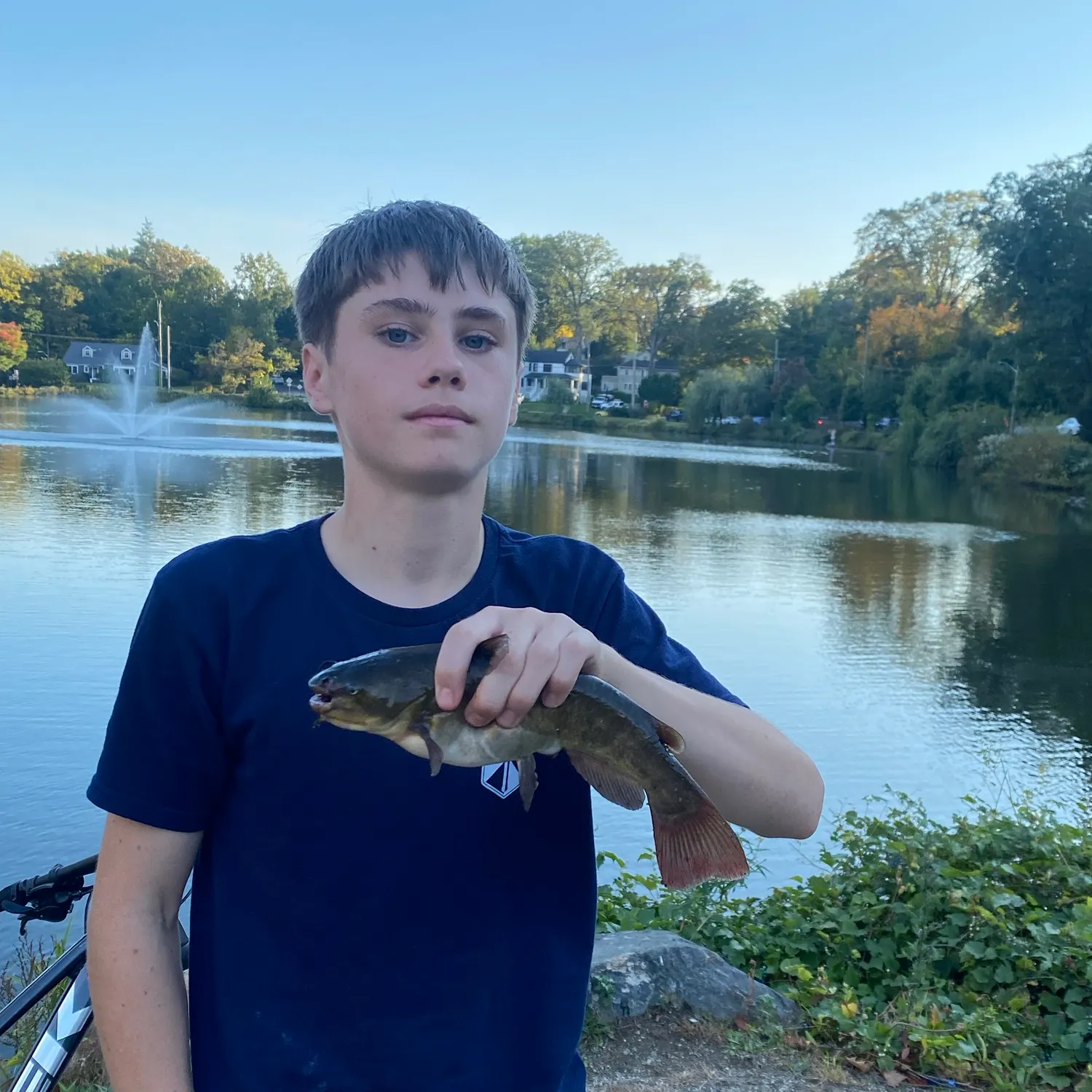 Black bullhead caught on Fishbrain