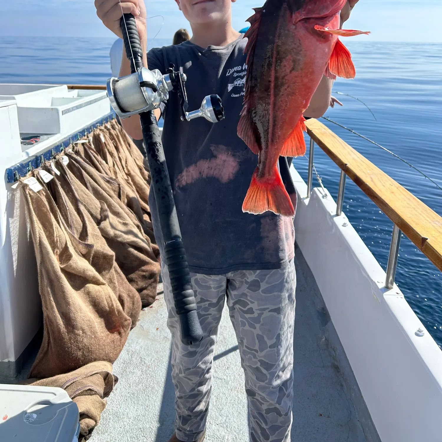 The most recent Bank rockfish catches on Fishbrain