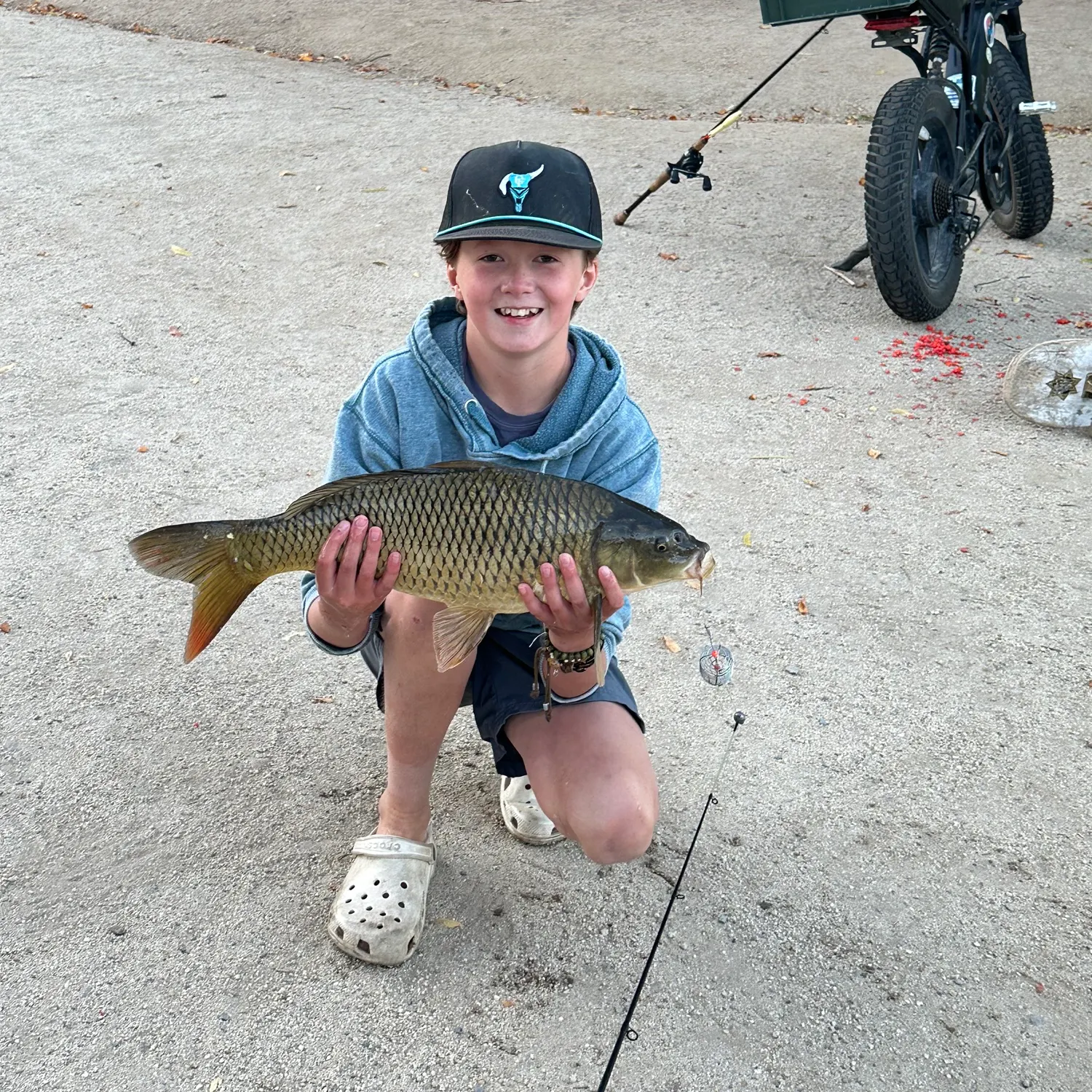 Common carp caught on Fishbrain