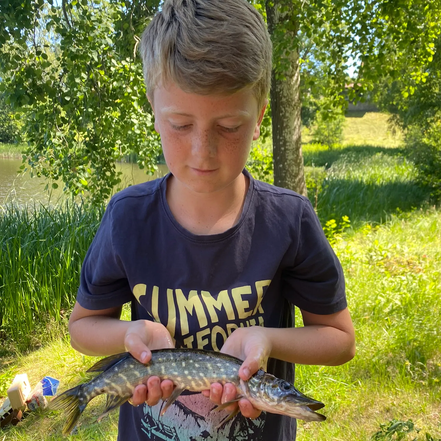 Northern pike caught on Fishbrain