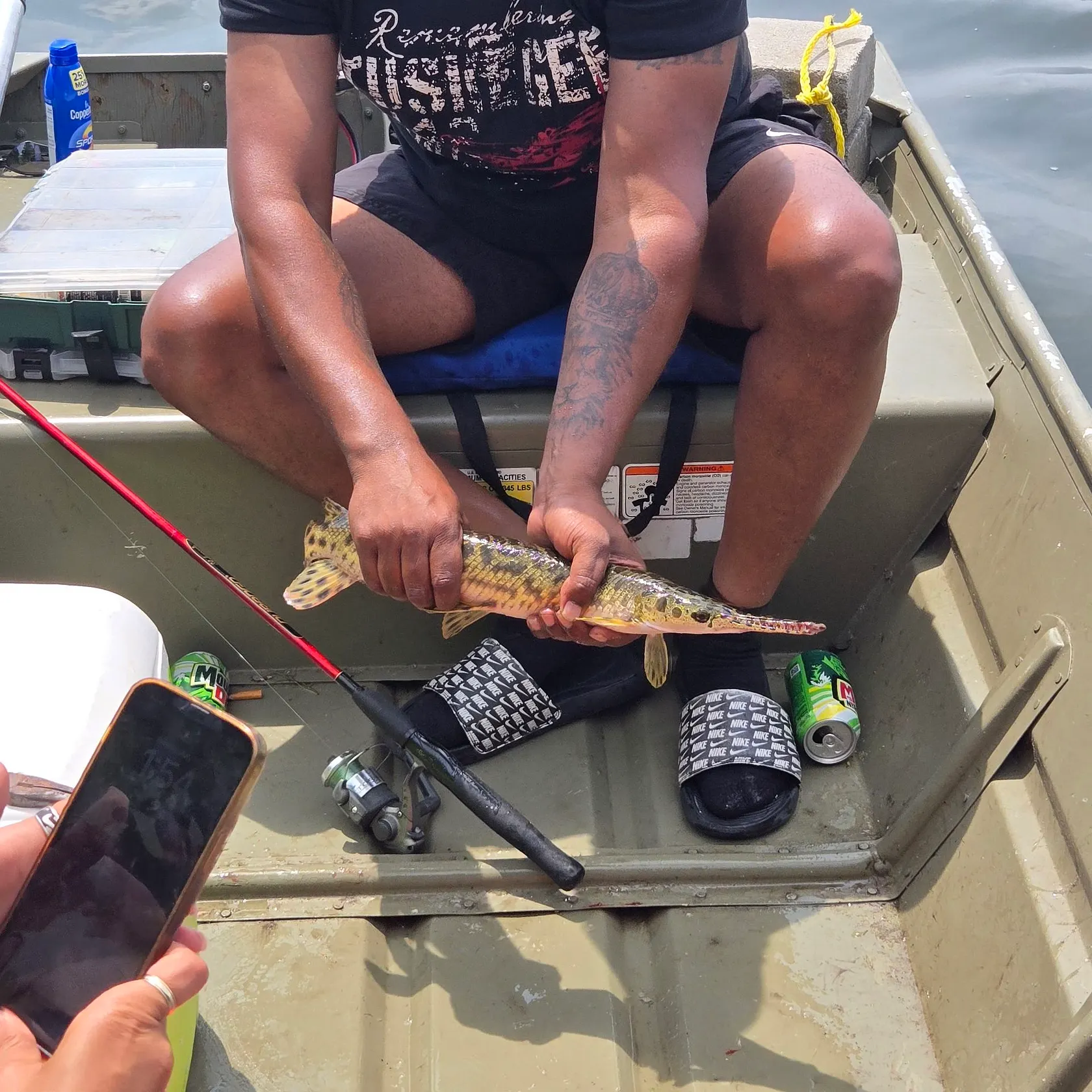 recently logged catches