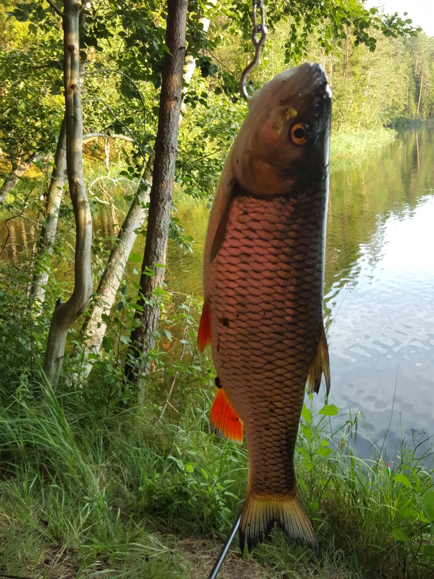 Post image from janeandr