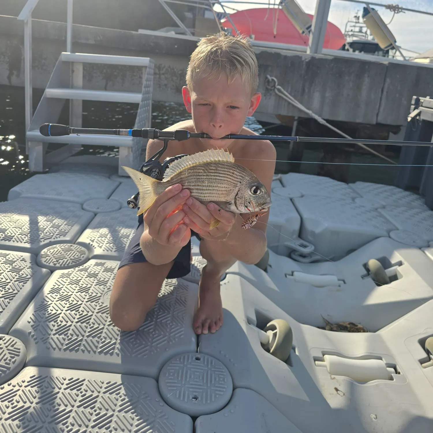 The most recent Goldlined seabream catches on Fishbrain