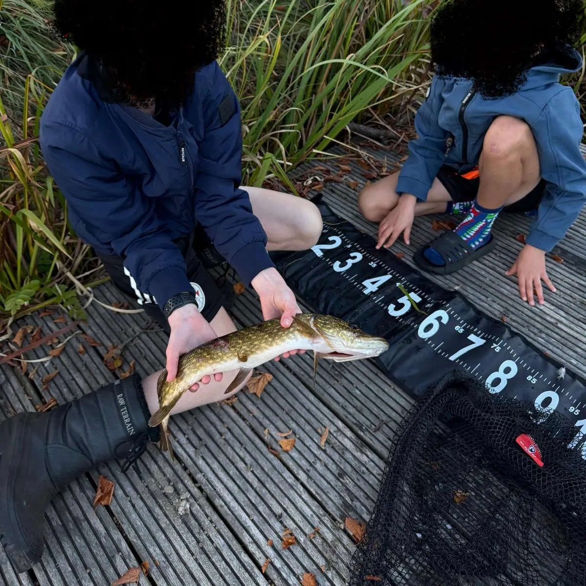 Northern pike caught on Fishbrain