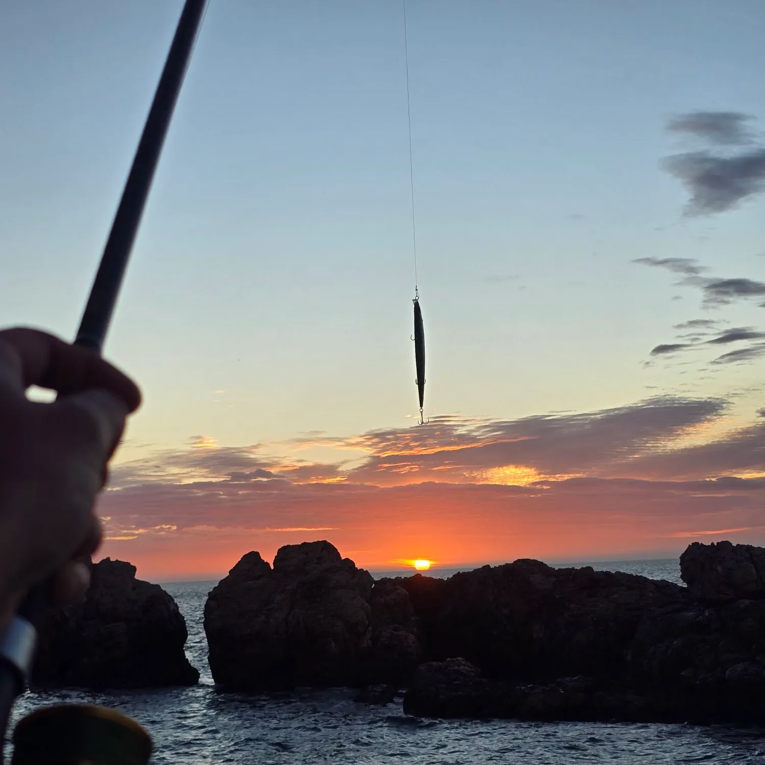 The most recent White seabream catches on Fishbrain