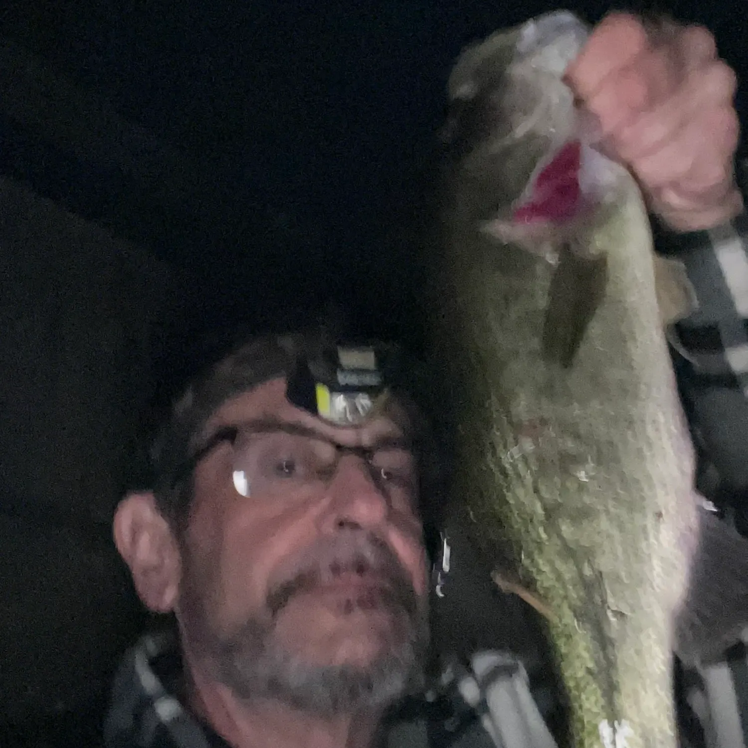 Fish caught on Fishbrain