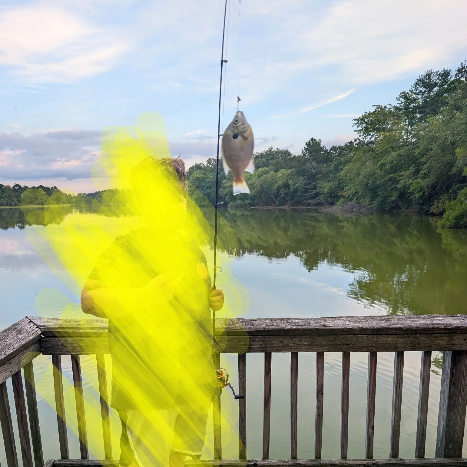 Bluegill caught on Fishbrain